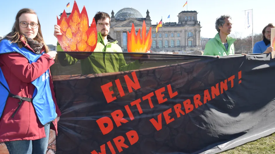 Wald Aktion Waldtag